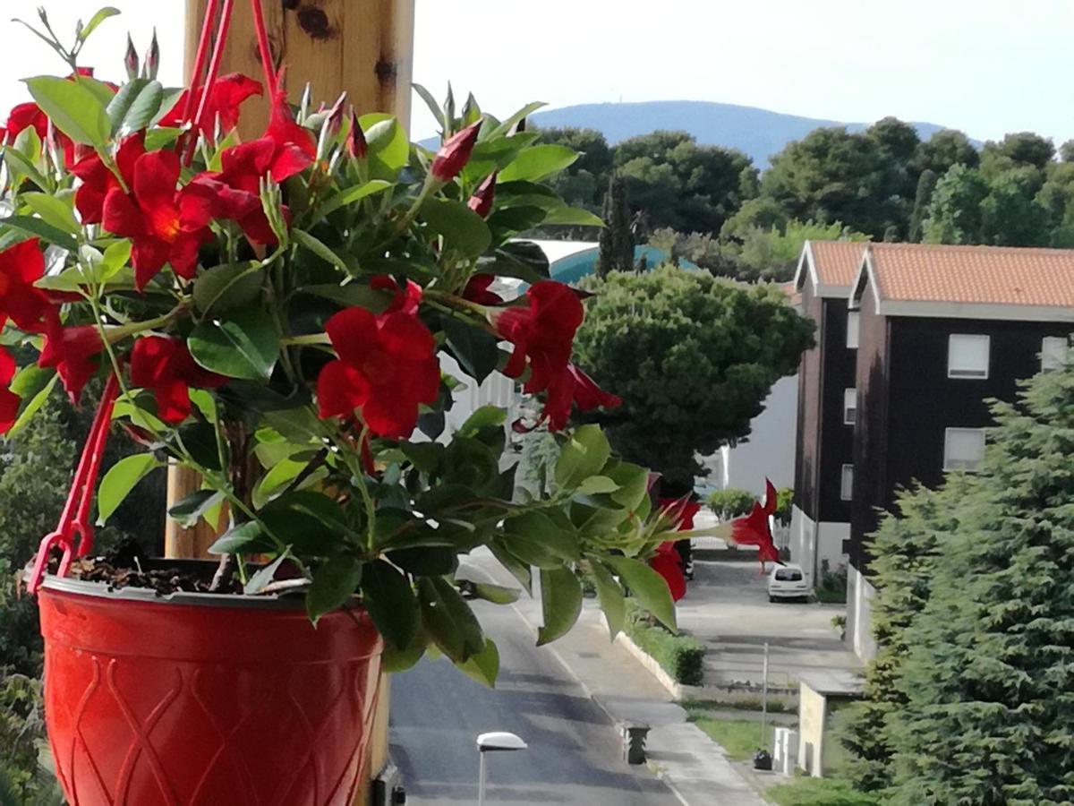 Nel Blu Dipinto Di Blu Apartment Porto Recanati Bagian luar foto